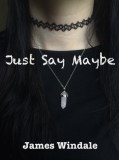 Just Say Maybe cover 1